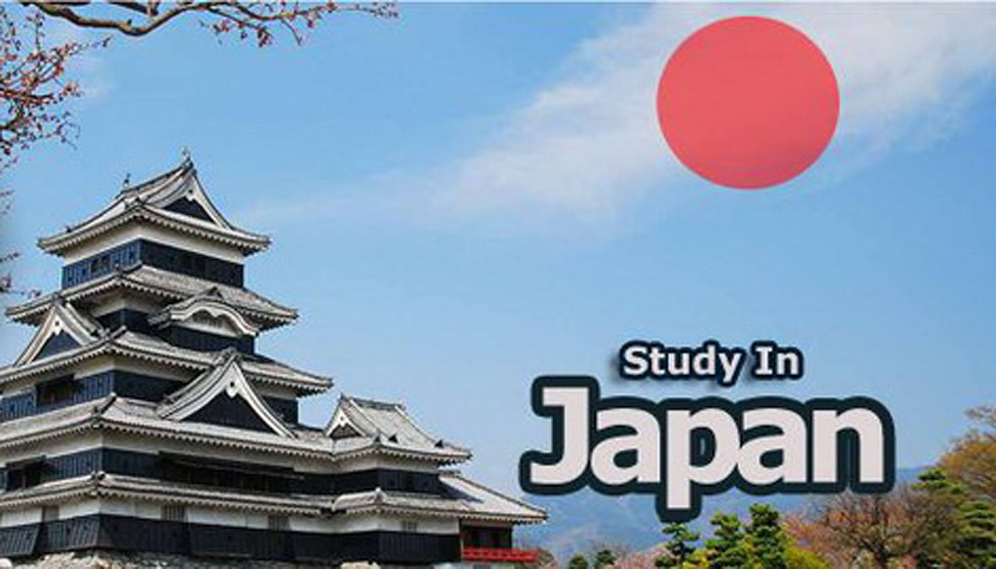 In japan. Study in Japan. Япония ta'Lim tizimi. Проявители страны Япония. Purpose of study to Japan.